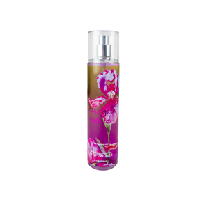 pure gala orchid